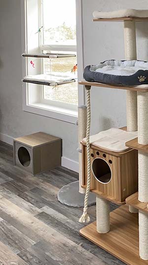 Multi-Cat Discount
