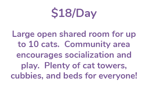 $18/Day