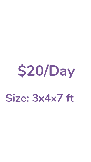 $20/Day