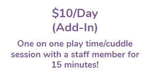 $10/Session (Add-In)